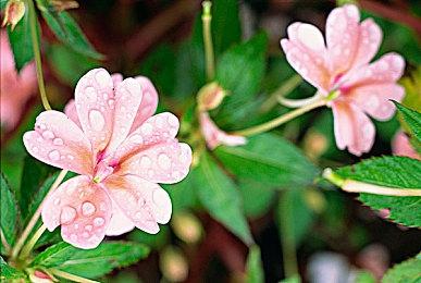 《我的世界：地下城》谢幕停更 开发组专注新项目